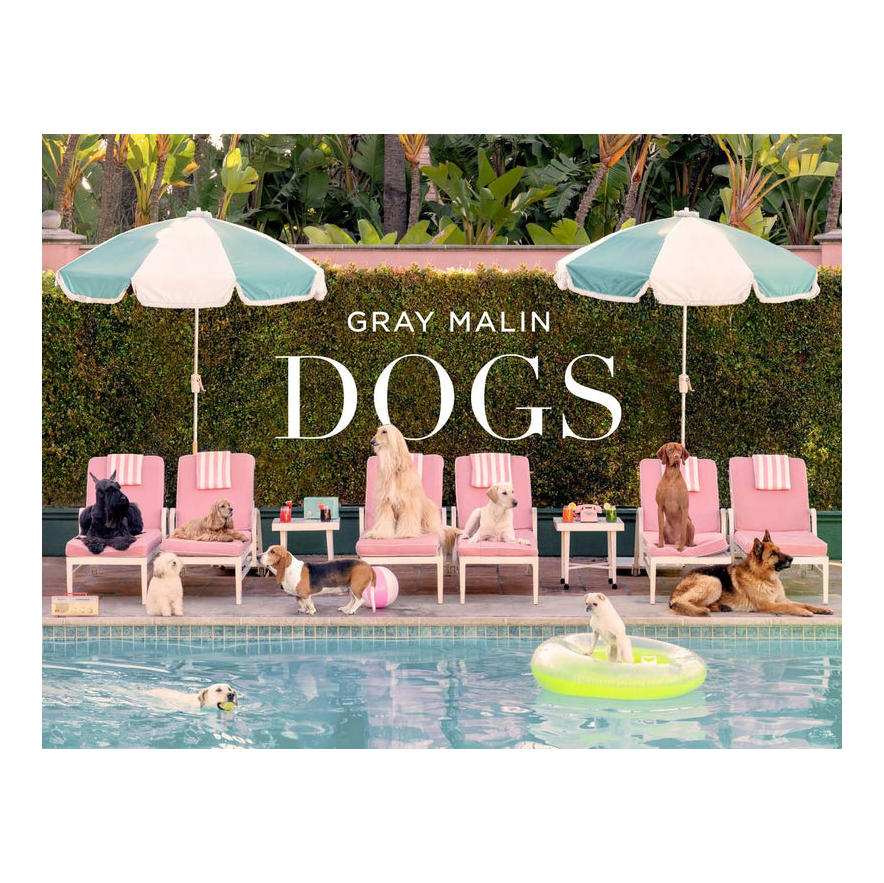 Gray Malin - Dogs